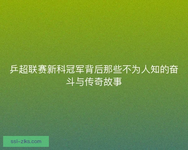 乒超联赛新科冠军背后那些不为人知的奋斗与传奇故事