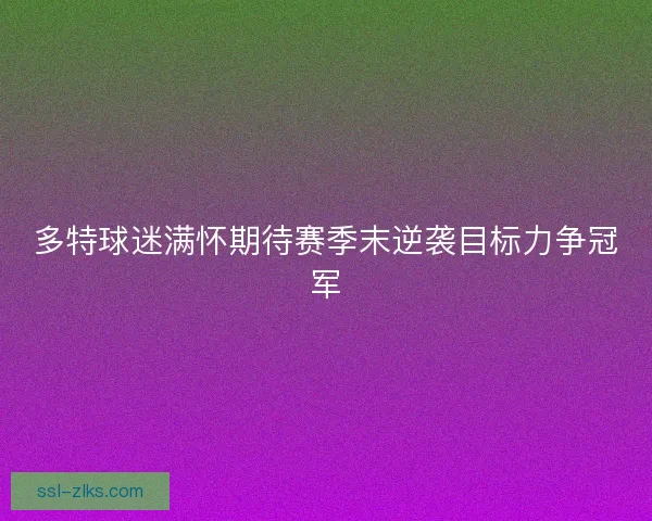 多特球迷满怀期待赛季末逆袭目标力争冠军 多特球迷满怀期待赛季末逆袭目标力争冠军