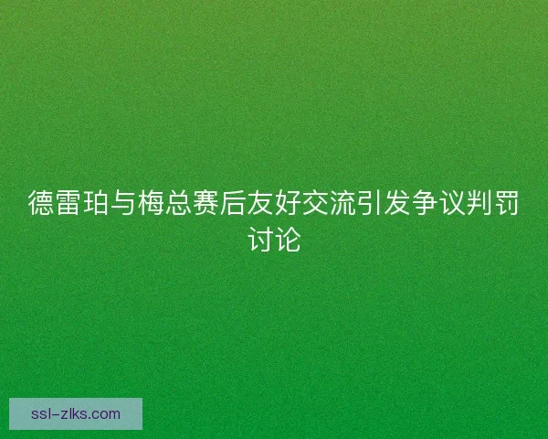 德雷珀与梅总赛后友好交流引发争议判罚讨论