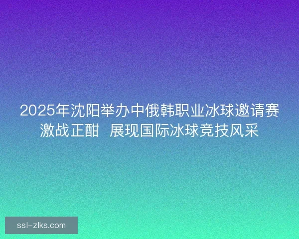 2025年沈阳举办中俄韩职业冰球邀请赛激战正酣  展现国际冰球竞技风采