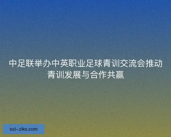 中足联举办中英职业足球青训交流会推动青训发展与合作共赢